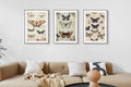 Framed Wall Art_Z436